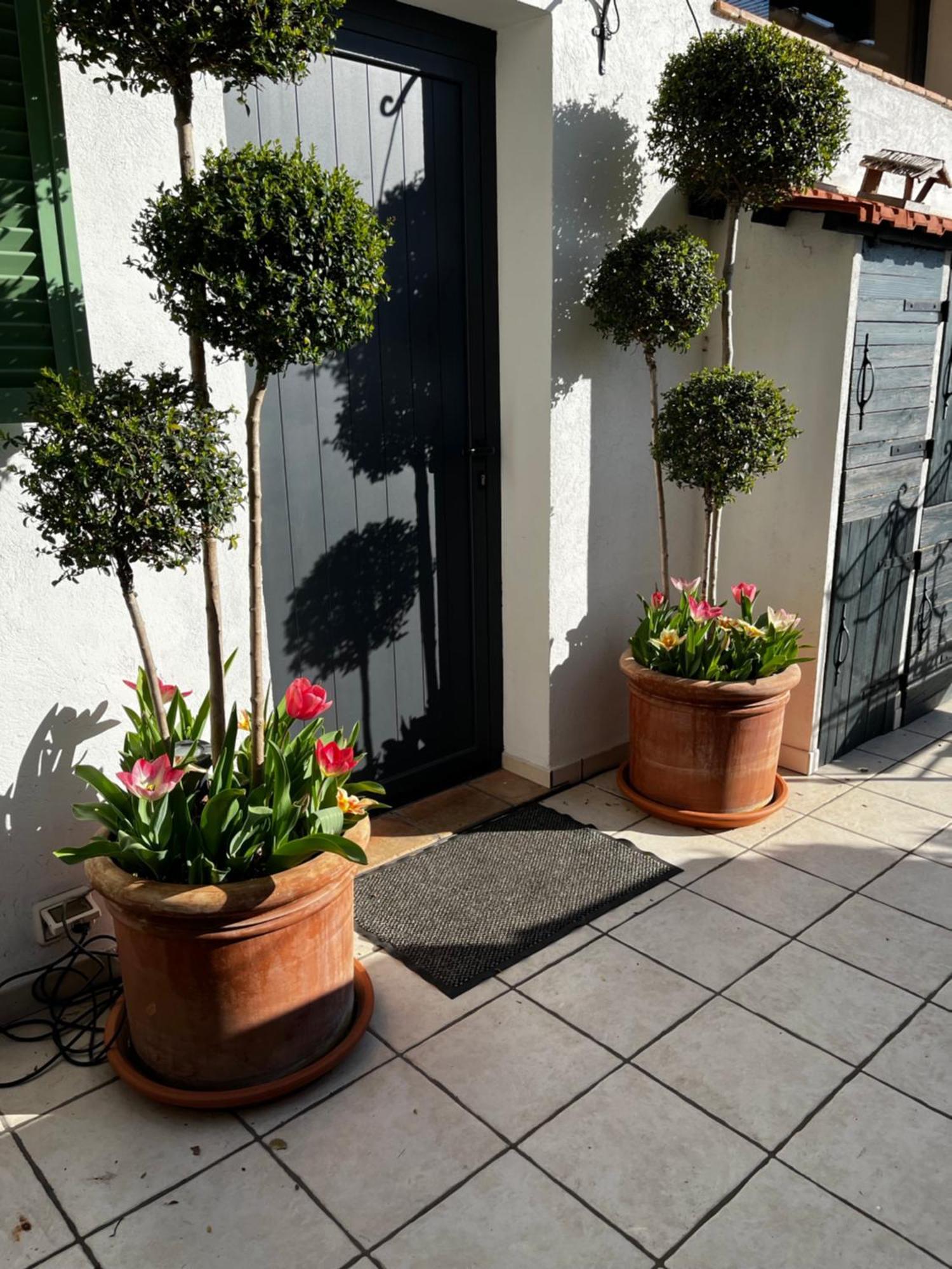 Skylark Bed & Breakfast กราส ภายนอก รูปภาพ