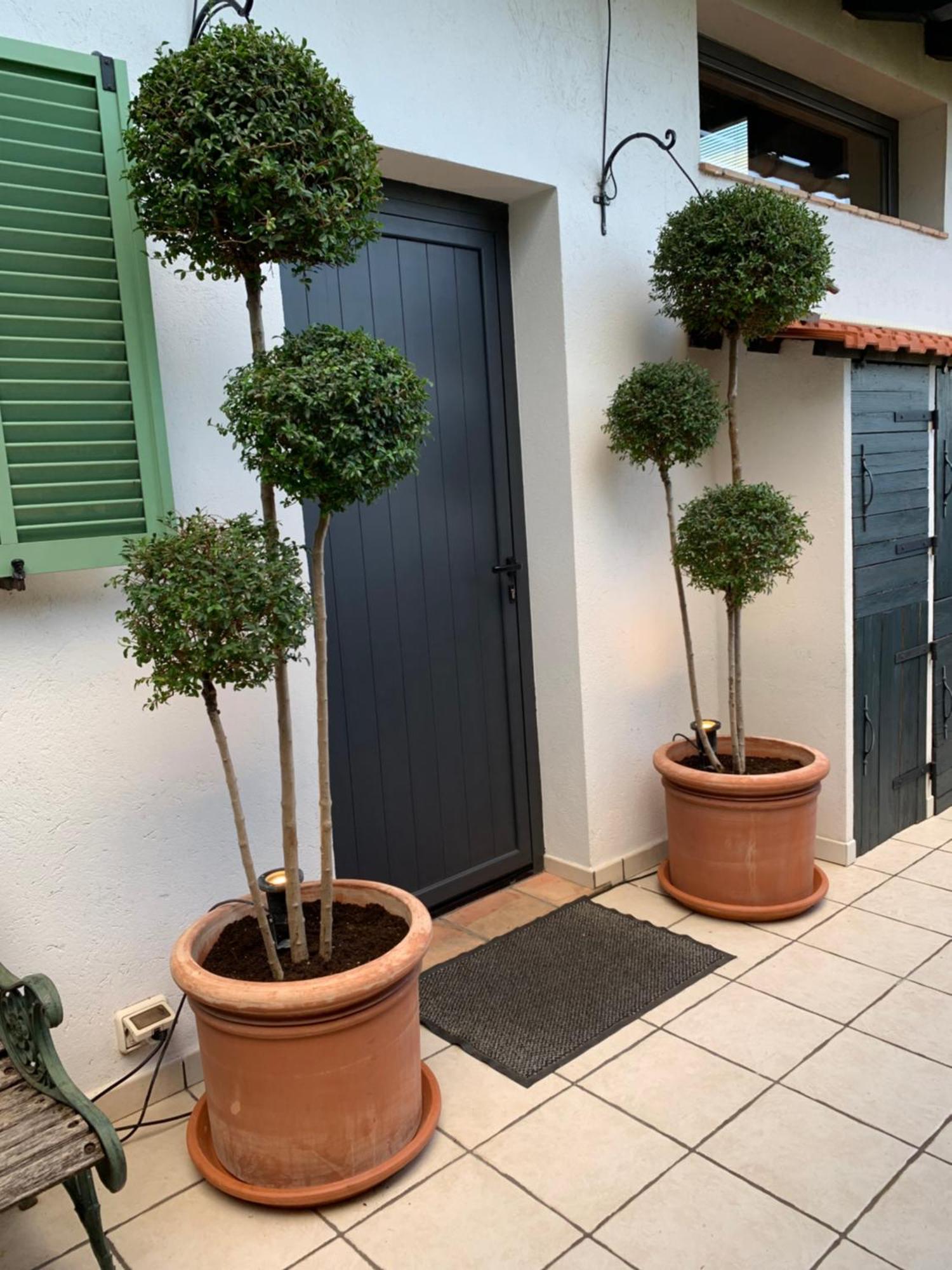 Skylark Bed & Breakfast กราส ภายนอก รูปภาพ