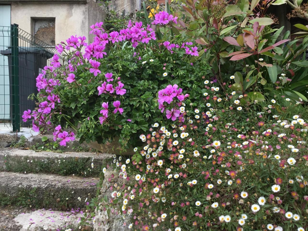 Skylark Bed & Breakfast กราส ภายนอก รูปภาพ